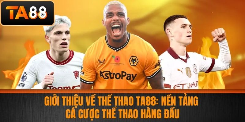 Thể Thao TA88 - Sảnh Cá Cược Thể Thao Uy Tín Và An Toàn 1 Giới thiệu về Thể thao TA88: Nền tảng cá cược thể thao hàng đầu