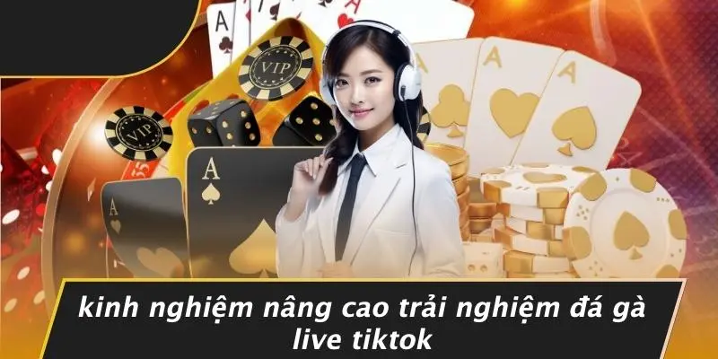 ĐÁ GÀ LIVE TIKTOK: TRẢI NGHIỆM BỨT PHÁ CHO TÍN ĐỒ GÀ CHỌI 5 Kinh Nghiệm Nâng Cao Trải Nghiệm Đá Gà Live Tiktok